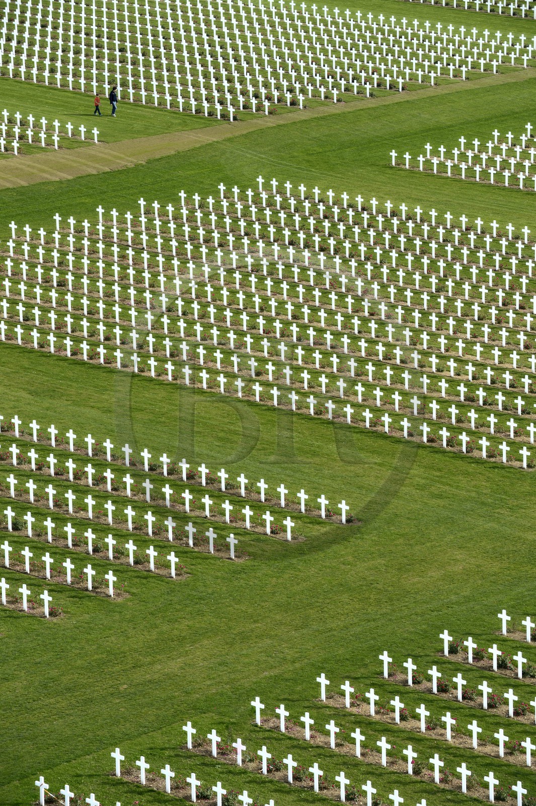 France, Meuse (55), Douaumont, bataille de Verdun, ossuaire de Douaumont, nécropole nationale, alignement de tombes de soldats