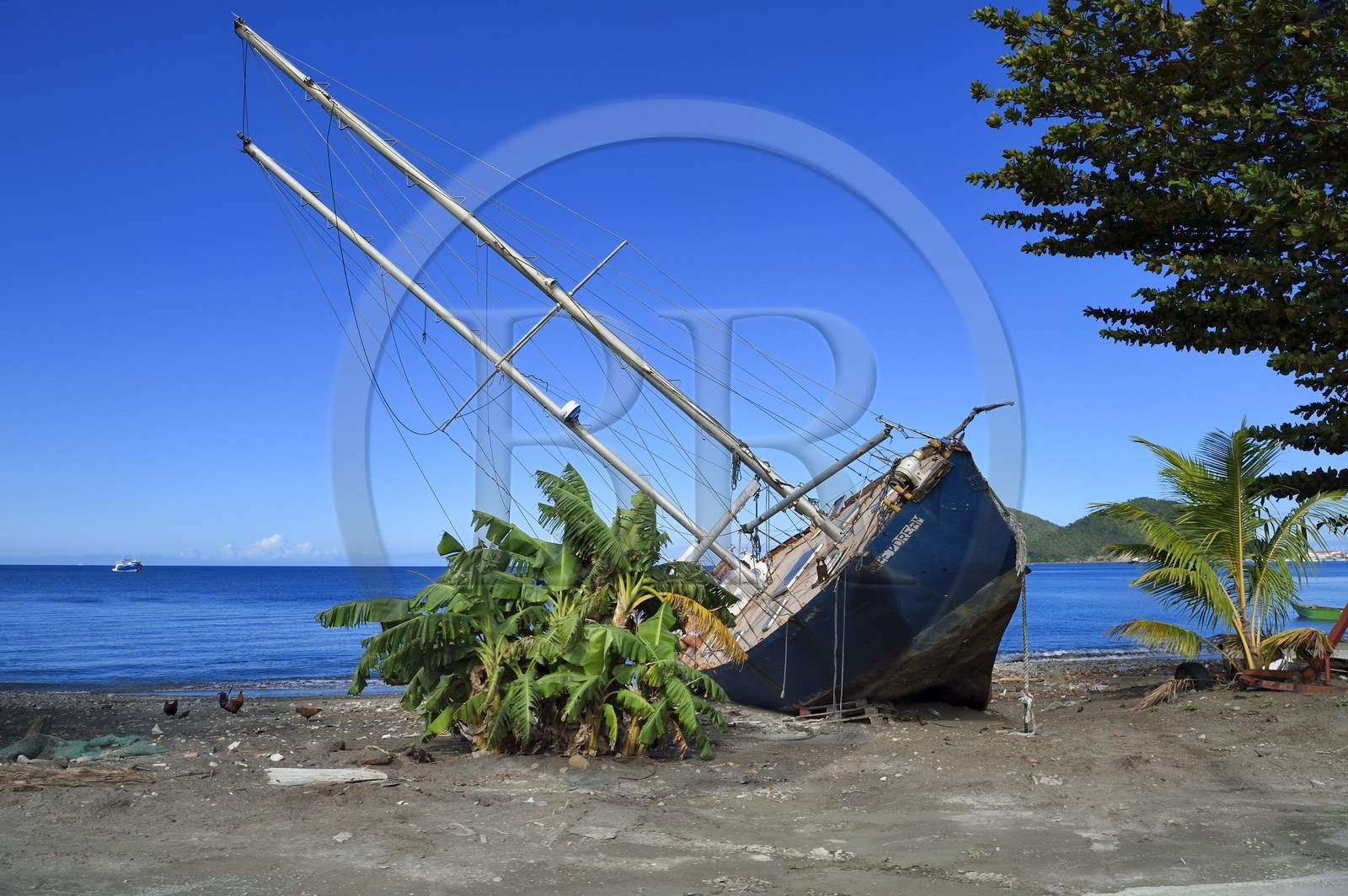 Caraïbes, Ile de la Dominique, Portsmouth, la baie de Prince Rupert, épave de bateau à voile