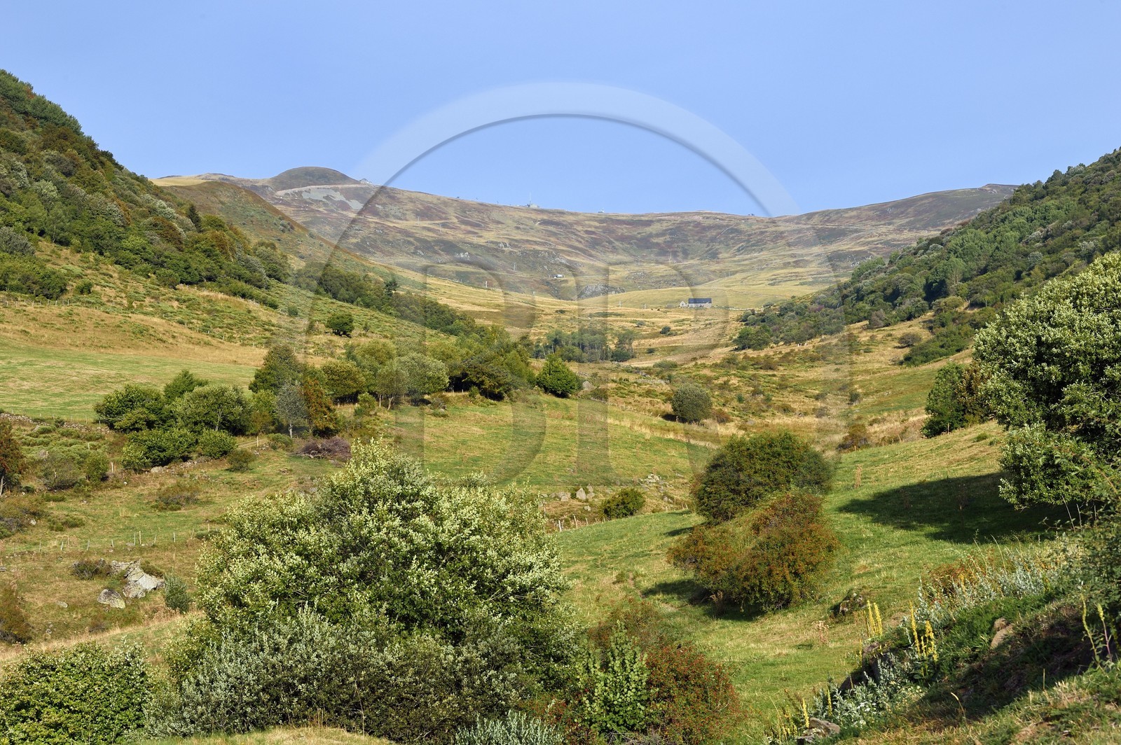 France, Cantal (15), Parc Naturel Régional des Volcans d’Auvergne, le Plomb du Cantal (1855m) vu depuis la vallée de la rivière Prat de Bouc au sud