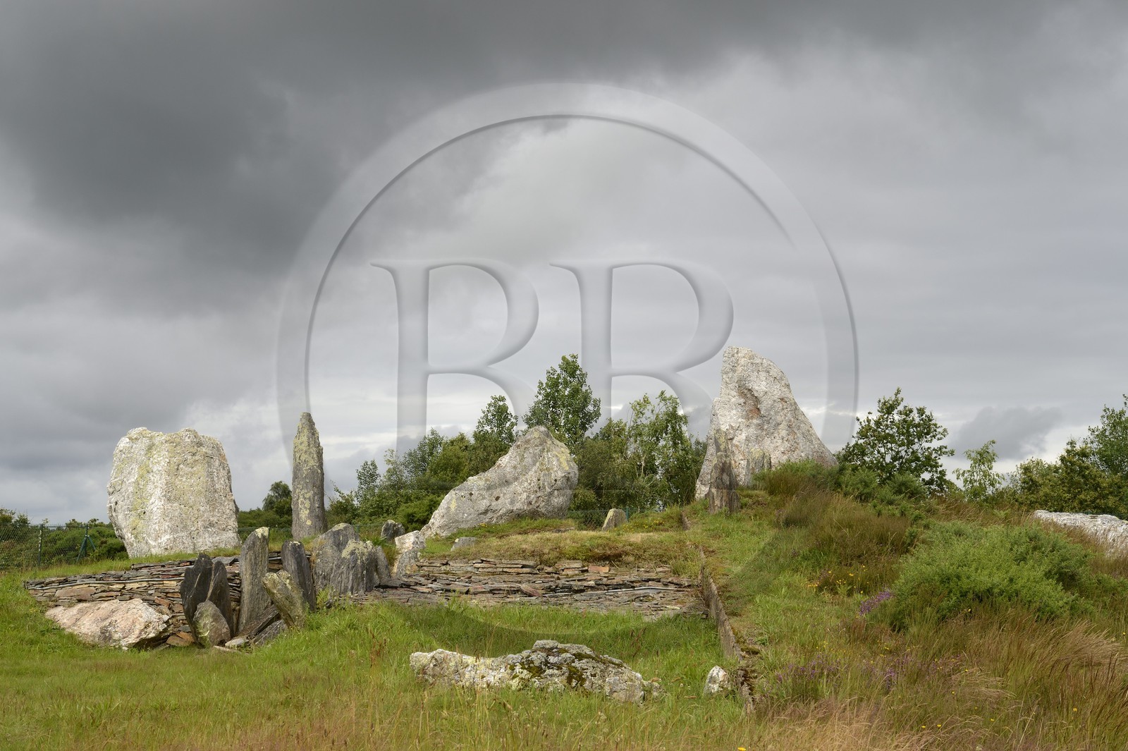 France, Ille-et-Vilaine (35), Saint-Just, monuments mégalithiques de la Lande de Cojoux, dolmen à cabinets latéraux de 3500 ans avant JC appelé le chateau Bû