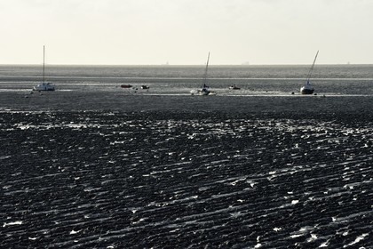 France, Charente-Maritime (17), Fouras, la plage nord à marée basse et cargos en arrière plan