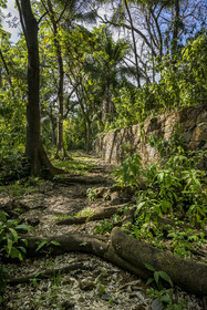 France, French Guiana, Kourou, Salvation Islands (Iles du Salut), Saint Joseph Island,