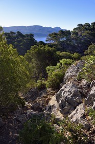 France, Bouches du Rhone, Cassis, National Park of the Calanques, Calanque de Port Miou (cove) and the cliffs of Cap Canaille in the background (request for authorization necessary before publication)