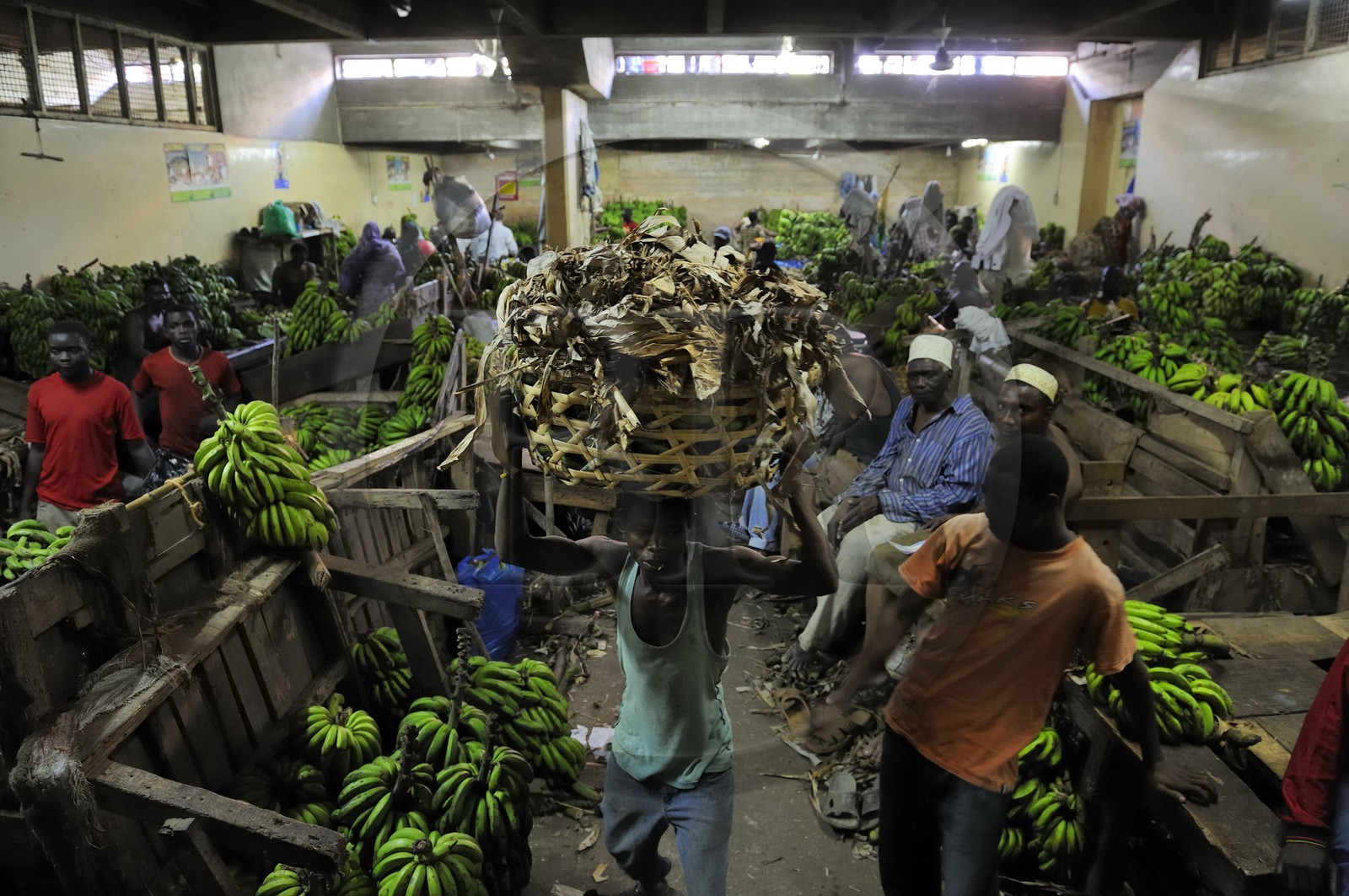 Tanzania, Dar es-Salaam, the Kariakoo central market, the banana hall in the lower floor