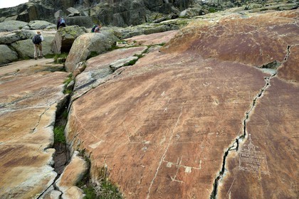 France, Alpes-Maritimes, parc national du Mercantour (Mercantour National Park), the Vallee des Merveilles (Valley of Wonders) scattered with thousands of rupestral engravings of the Bronze Age, the chiappes yellow schist flagstones, the greatest hornlike figure of the valley and another hornlike figure probably representing an ox yoke and its ard plough