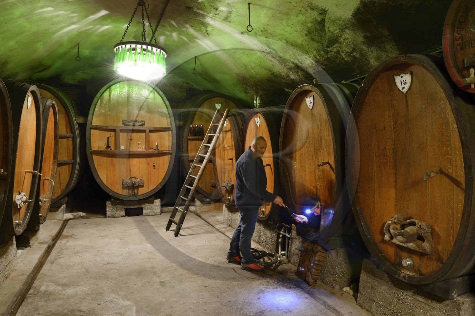 France, Bas-Rhin (67), Route des Vins d'Alsace, Mittelbergheim, labellisé Les Plus Beaux Villages de France, cave du Domaine Wittmann
