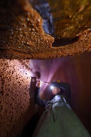 France, Bas-Rhin (67), Route des Vins d'Alsace, Mittelbergheim, labellisé Les Plus Beaux Villages de France, cave du Domaine Wittmann, nettoyage de l'intérieur d'un grand fût aussi appellé foudre