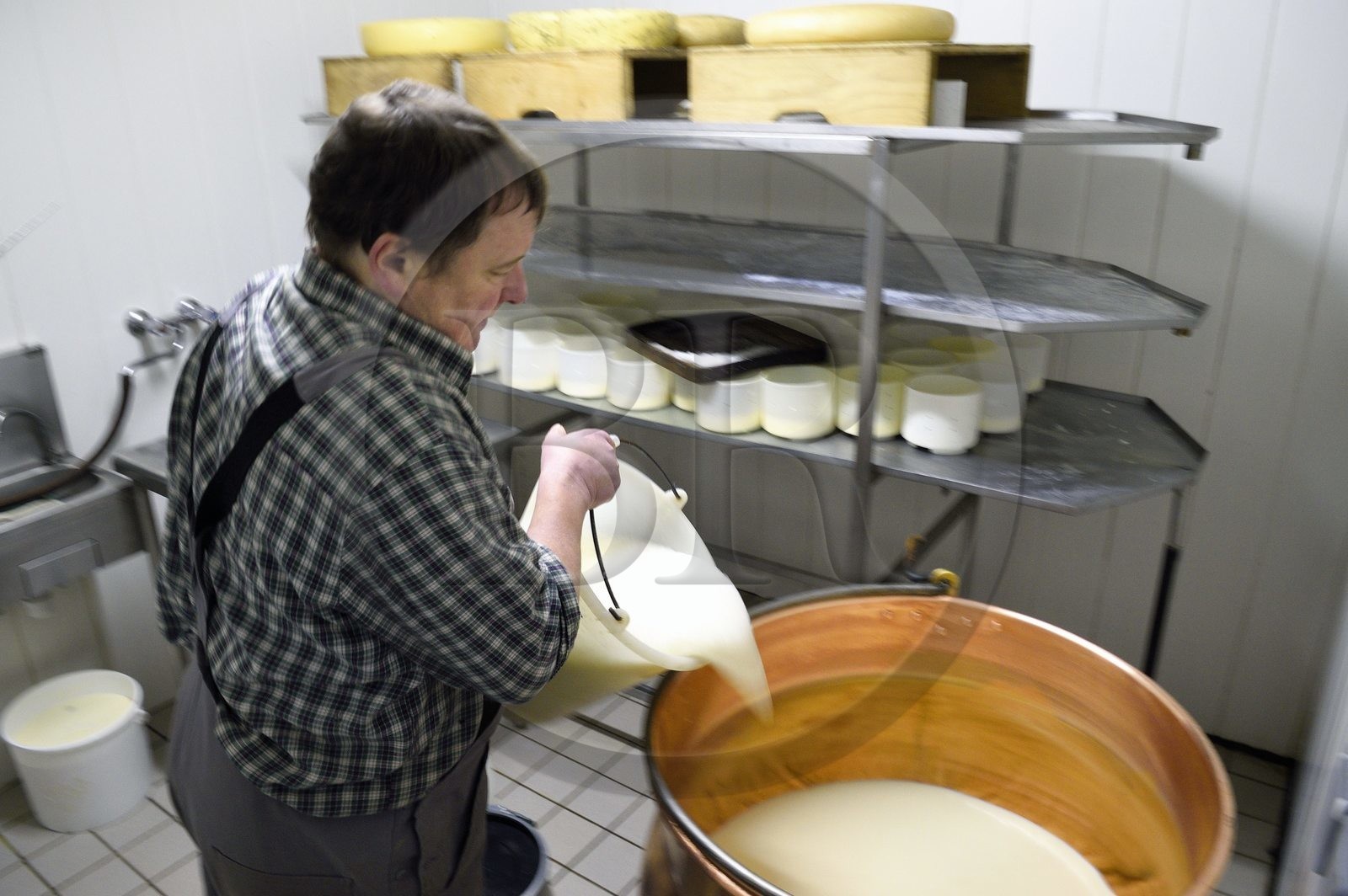France, Haut-Rhin (68), Wasserbourg, Ferme-auberge Buchwald, le marcaire Michel Wehrey à la fabrication du fromage de munster AOP (lait de vache) dans un chaudron en cuivre France, Haut-Rhin (68), Wasserbourg, Ferme-auberge Buchwald, le marcaire Michel Wehrey à la fabrication du fromage de munster AOP (lait de vache) dans un chaudron en cuivre