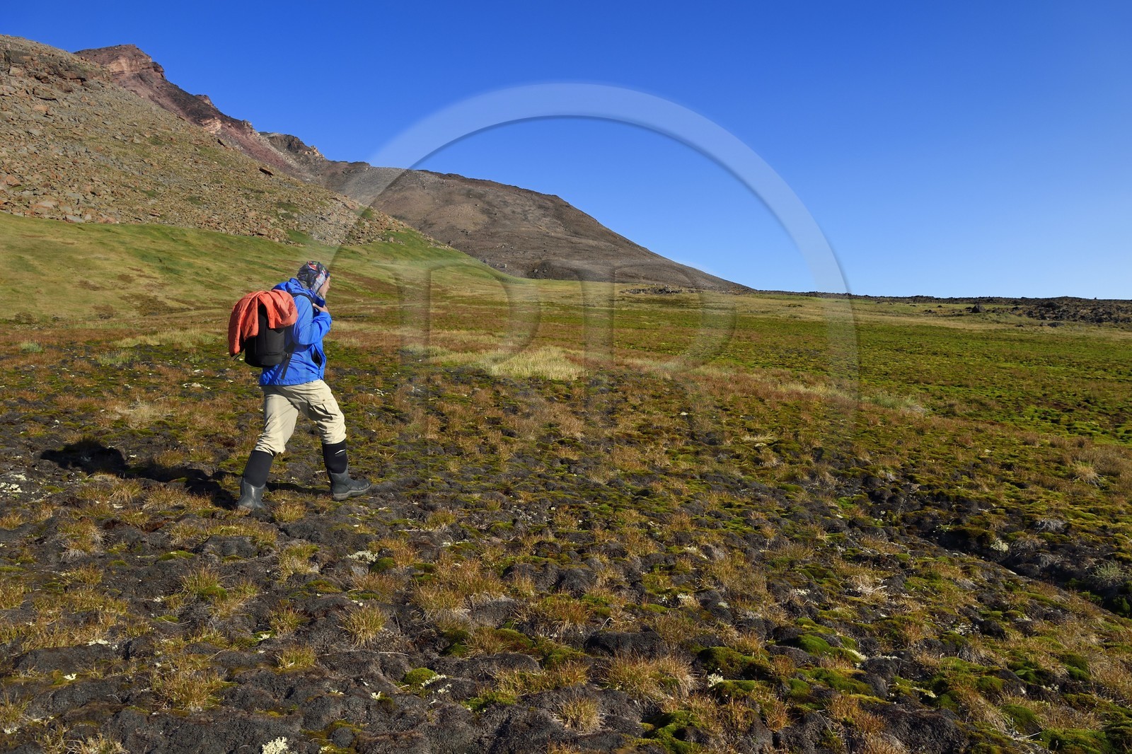 Groenland, cote Nord-Ouest, Murchison sound au nord de la baie de Baffin, randonneur dans la toundra du fjord Robertson à Siorapaluk