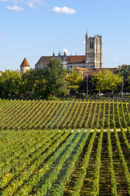 France, Yonne (89), Auxerre, vignes du Clos de la Chaînette (dans le centre hospitalier spécialisé de l'Yonne) et l'abbaye Saint-Germain