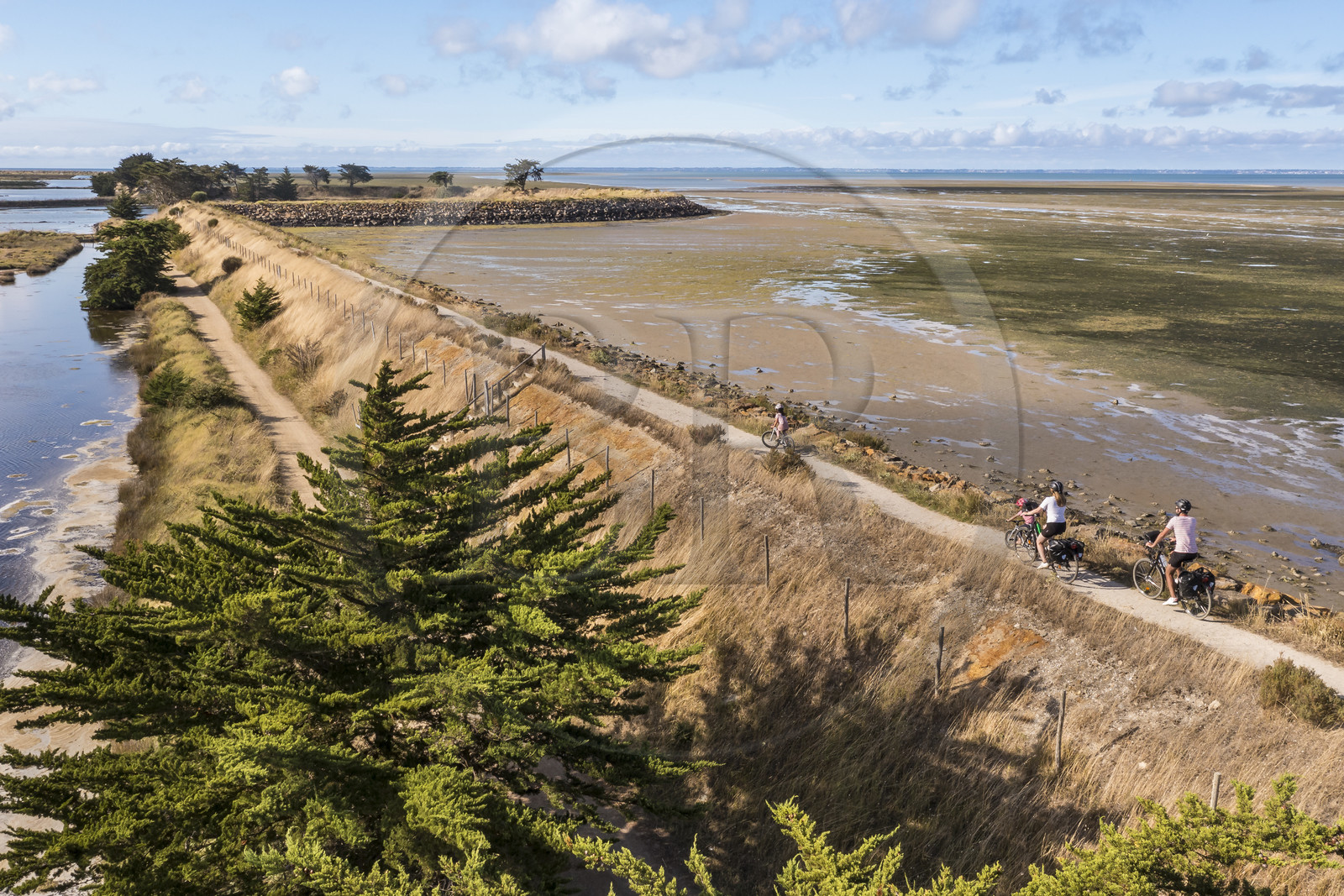 France, Vendée (85), île de Noirmoutier, Barbatre, cyclistes sur la digue de la côte Est à marrée basse (vue aérienne)