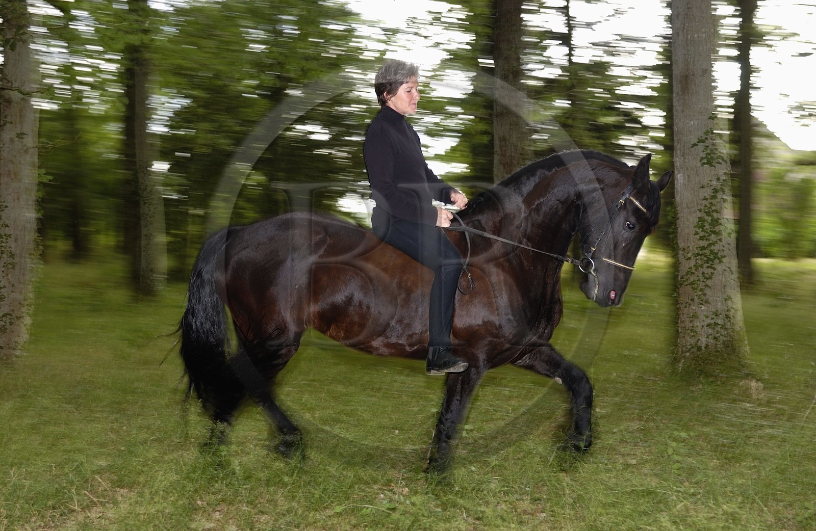 France, l'artiste Marie Laurence de Chauvigny de Blot France, l'artiste Marie Laurence de Chauvigny de Blot