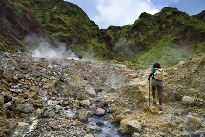 Caraïbes, Ile de la Dominique, Castle Bruce, Parc national du Morne Trois Pitons classé Patrimoine Mondial de l'UNESCO, la Vallée de la Désolation, randonnée sur le sentier menant au Boiling Lake