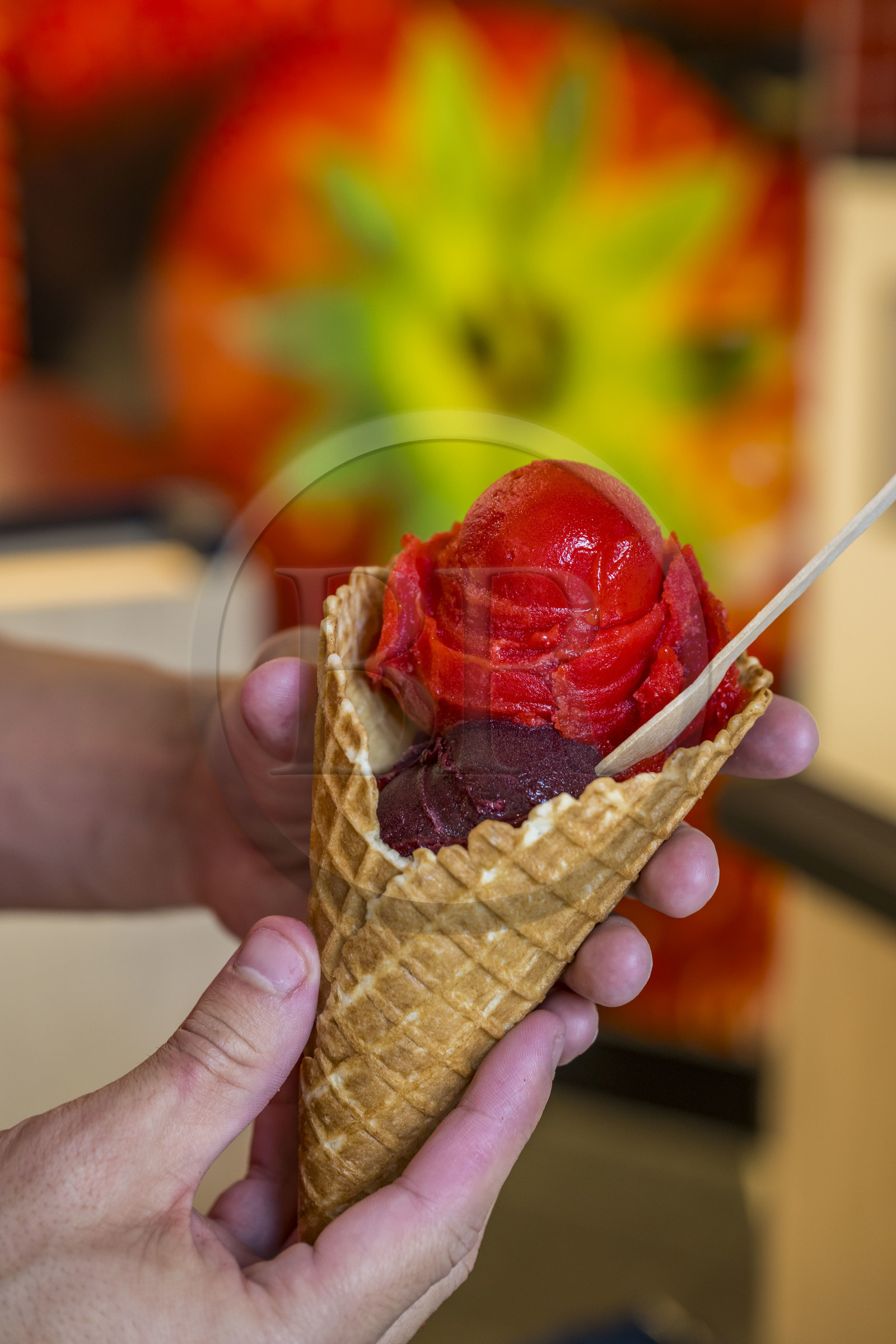 France, Loire-Atlantique (44), le célèbre glacier La Fraiseraie