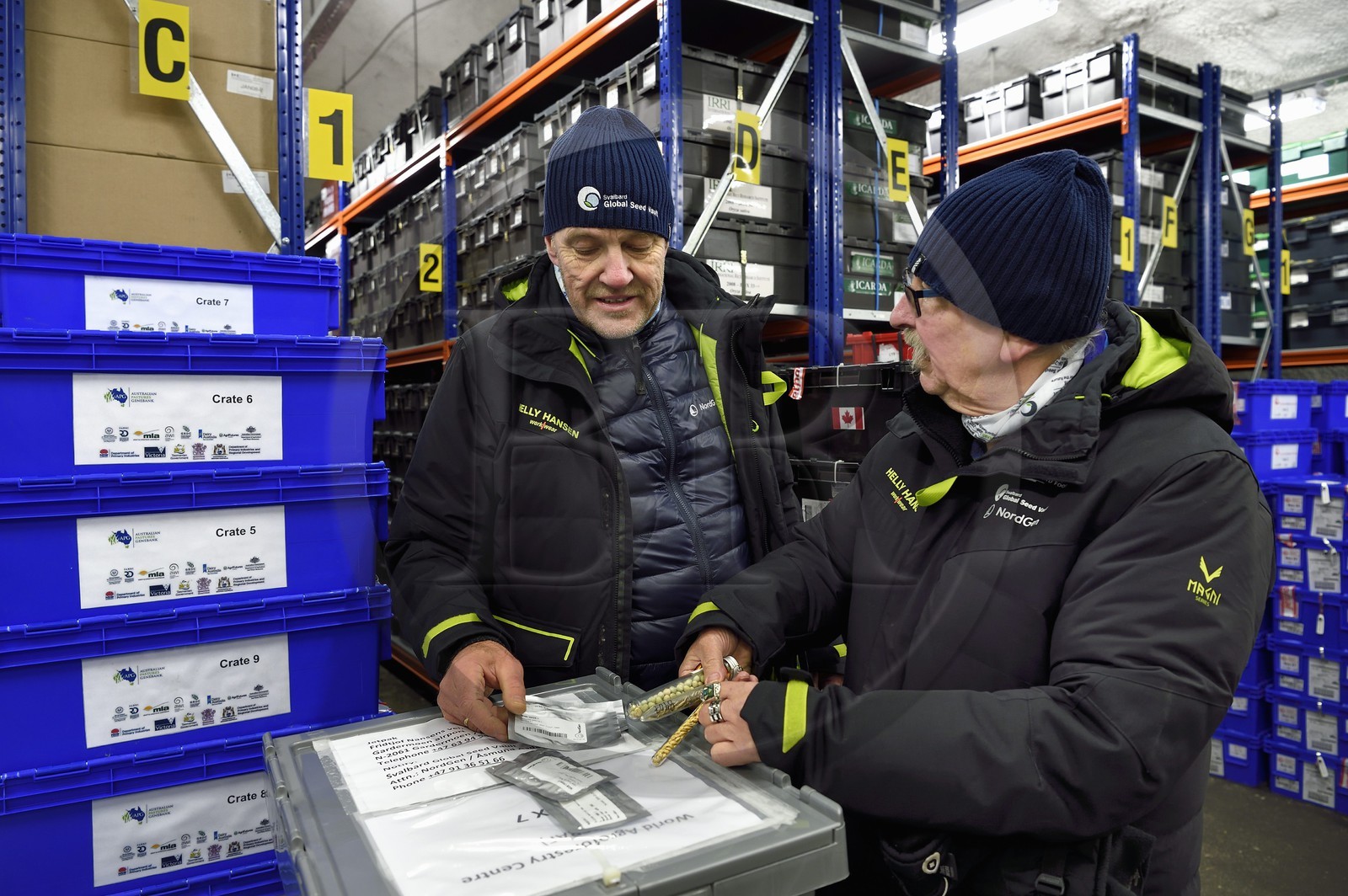 Norvège, Svalbard, Spitzberg, Longyearbyen, la Réserve mondiale de semences du Svalbard (banque de graines du Global Seed Vault), salle de stockage des semences artificiellement maintenue à -18°C, près de 900000 échantillons ont été déposés, provenant de 200 pays d'origine et de 73 instituts déposants, Åsmund Asdal et Roland von Bothmer (à droite) de NordGen présentent les nouveaux moyens de stockage des semences en sachet aluminium sous vide et les anciens en tube de verre