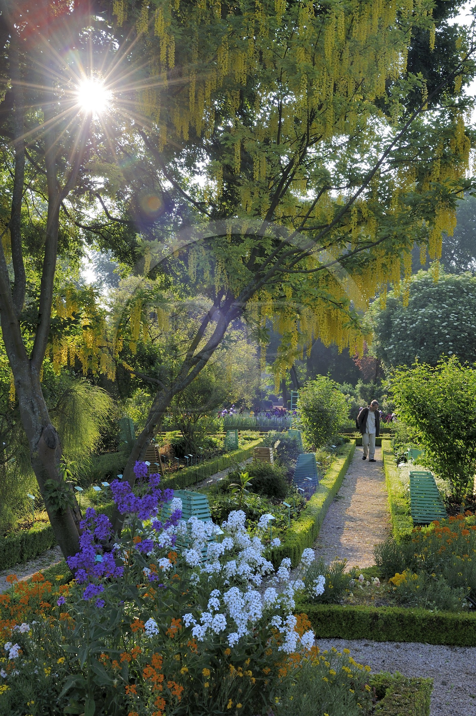 France, Côte d'Or (21), Dijon, jardins botanique de l'Arquebuse