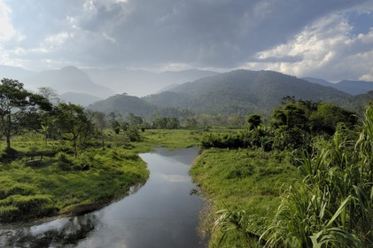 Brazil, Rio de Janeiro State, the Rio Barra Grande, coming from the Parque Nacional de Serra de Bocaina mountains, by the Paraty Bay (Gold Route, Estrada Real)