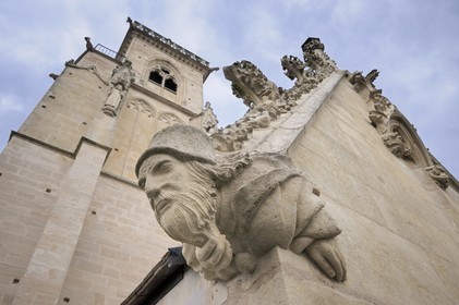 France, Côte d'Or (21), Semur-en-Auxois, l'église Notre-Dame, gargouille