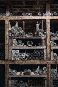 France, Cote d'Or, cultural Landscape of the climates of Burgundy listed as World Heritage by UNESCO, Route des Grands Crus (road of Vintage Wines), vineyard of the Côte de Nuits, Gevrey Chambertin, wine cellar