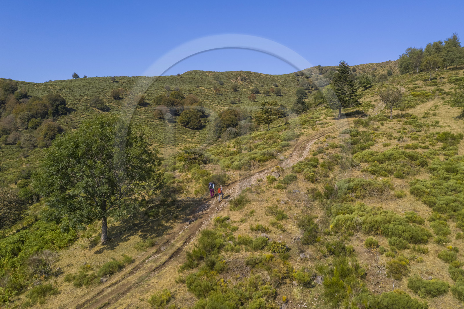 France, Cantal (15), Parc Naturel Régional des Volcans d'Auvergne, Laveissière, sur le chemin de Saint-Jacques de Compostelle par la Via Arverna, randonneurs sur les estives des pentes du Puy de Seycheuse (vue aérienne)