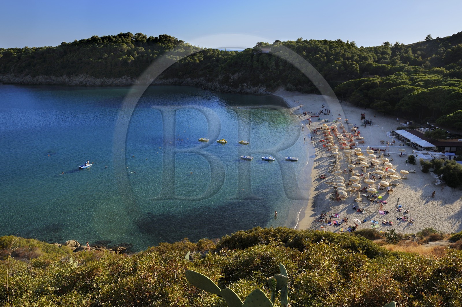 Italie, Toscane, l’Ile d’Elbe, plage de Fetovaia sur la cote Sud
