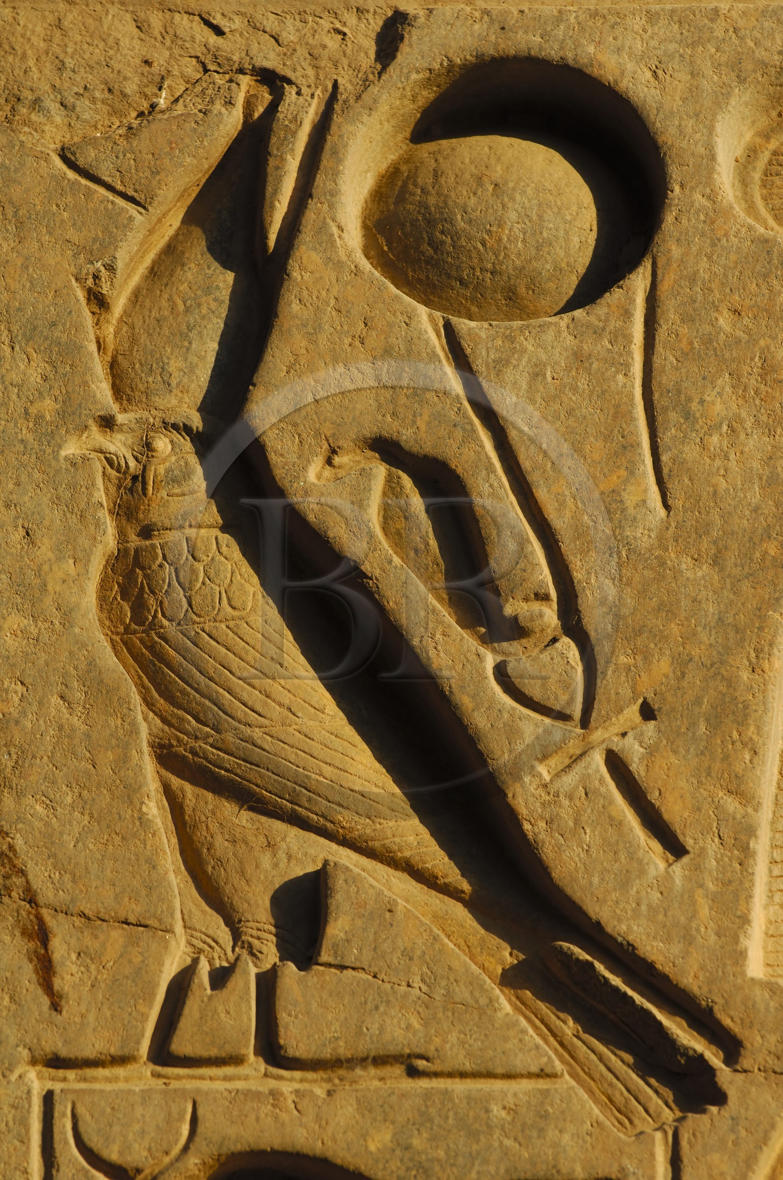 Egypte, Haute Egypte, vallée du Nil, temple de Louxor classé Patrimoine Mondial de l'UNESCO, détail de l'obélisque