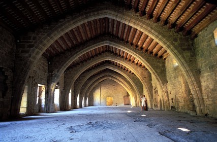 France, Aude, Lagrasse village, labelled Les Plus Beaux Villages de France (The Most Beautiful Villages of France), former dormitory of Sainte Marie de Lagrasse Abbey