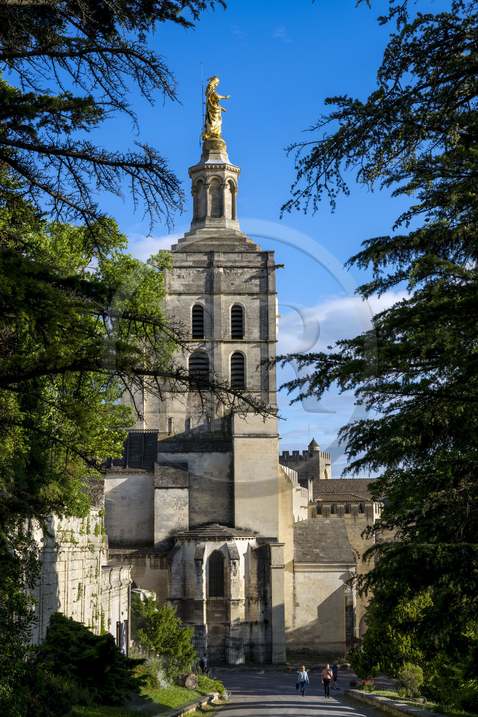 France, Vaucluse (84), Avignon, la cathédrale des Doms classée Patrimoine mondial de l'UNESCO