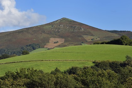 France, Pyrénées-Atlantiques (64), Pays-Basque, Espelette, vers le mont Mondarrain