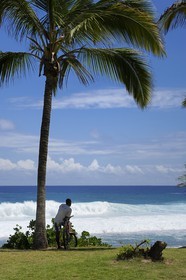 France, île de la Réunion, la côte sud, plage de Grand-Anse