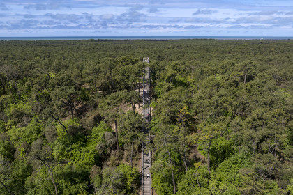 France, Vendée (85), La Barre-de-Monts, belvédère du Pey de la Blet, l'escalier dans le ciel au coeur de la forêt (vue aérienne)