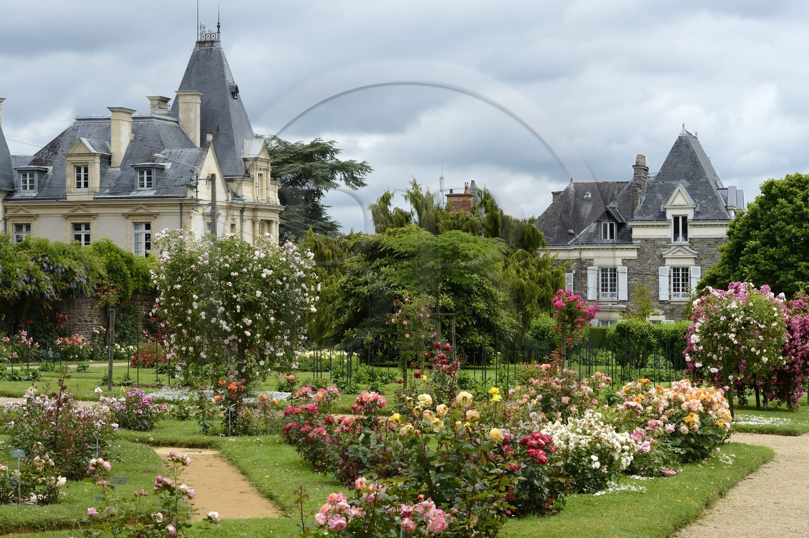 France, Ille-et-Vilaine (35), Rennes, Parc du Thabor, Le jardin botanique et la roseraie