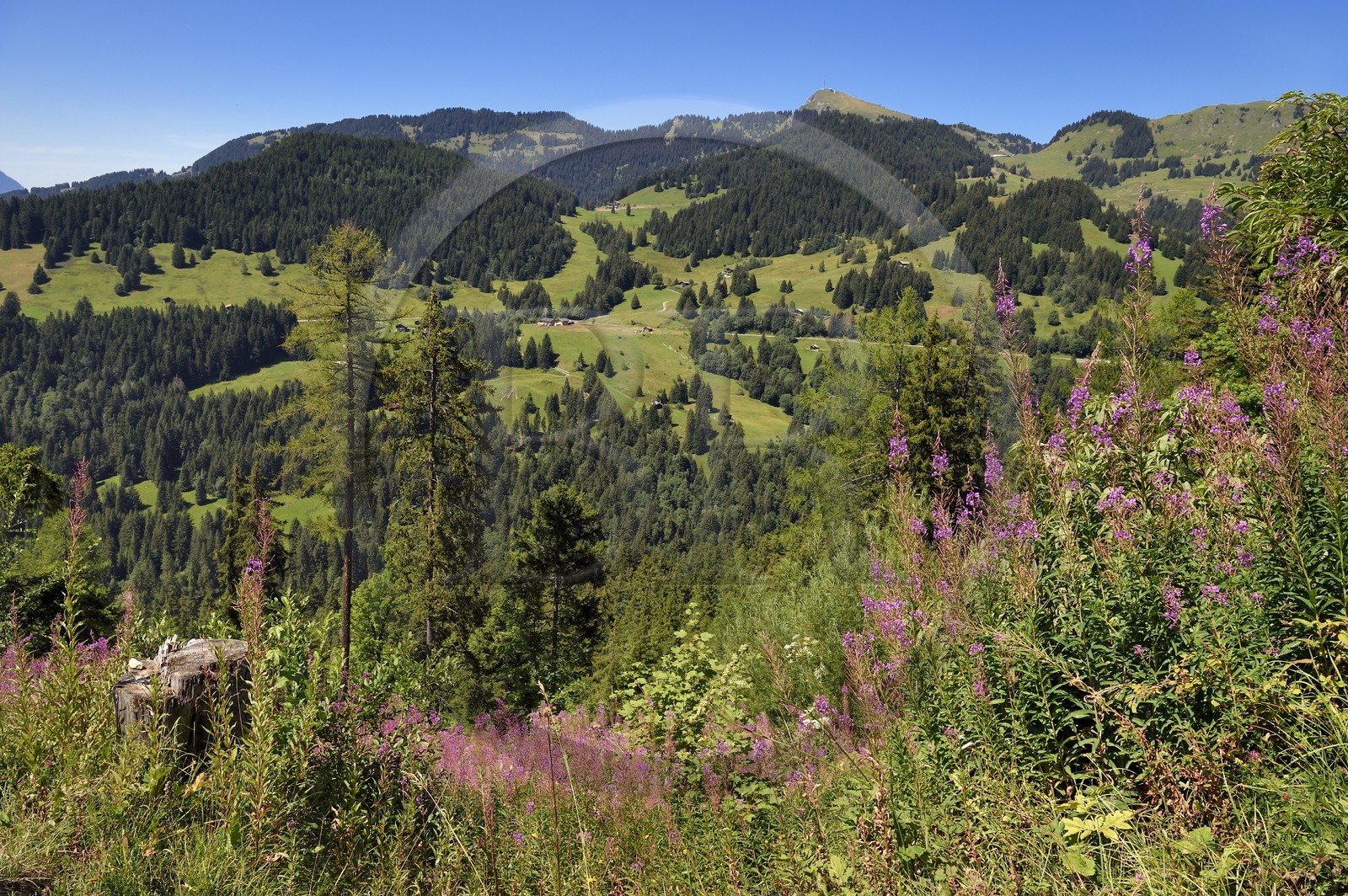 Suisse, canton de Vaud, Gryon, vue sur le Col de Soud au dessus de Villars-sur-Ollon