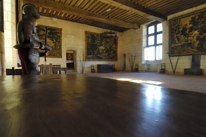France, Indre-et-Loire (37), Loches, le chateau, salle du Logis Royal