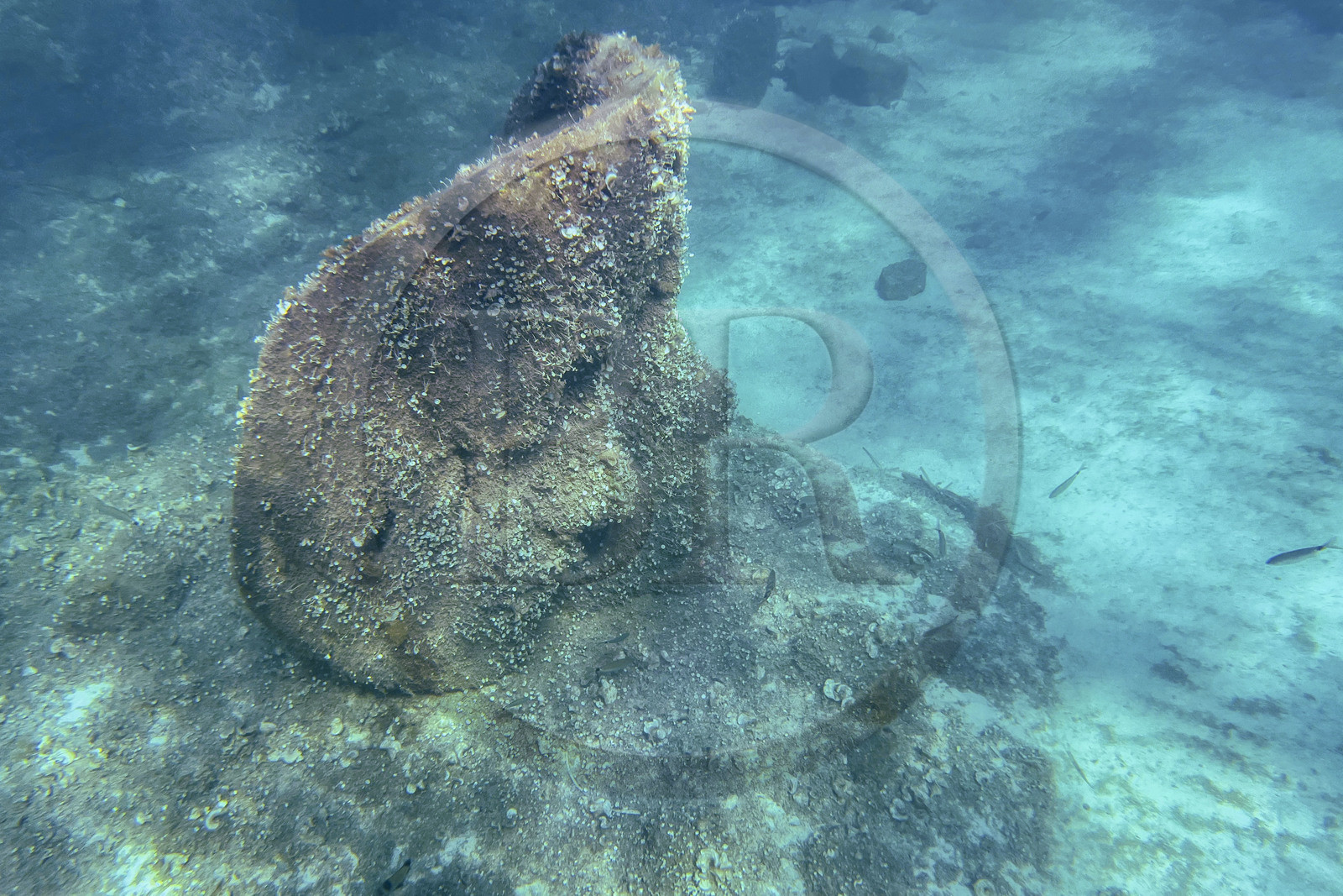 France, Alpes-Maritimes, Cannes, Lerins Islands, Sainte-Marguerite island, the underwater ecomuseum made up of monumental statues by the artist Jason deCaires Taylor, molded according to the faces of 6 inhabitants of Cannes and submerged at a distance ranging from 84 to 132 meters from the shore for a depth of 3 to 5 meters France, Alpes-Maritimes, Cannes, Lerins Islands, Sainte-Marguerite island, the underwater ecomuseum made up of monumental statues by the artist Jason deCaires Taylor, molded according to the faces of 6 inhabitants of Cannes and submerged at a distance ranging from 84 to 132 meters from the shore for a depth of 3 to 5 meters