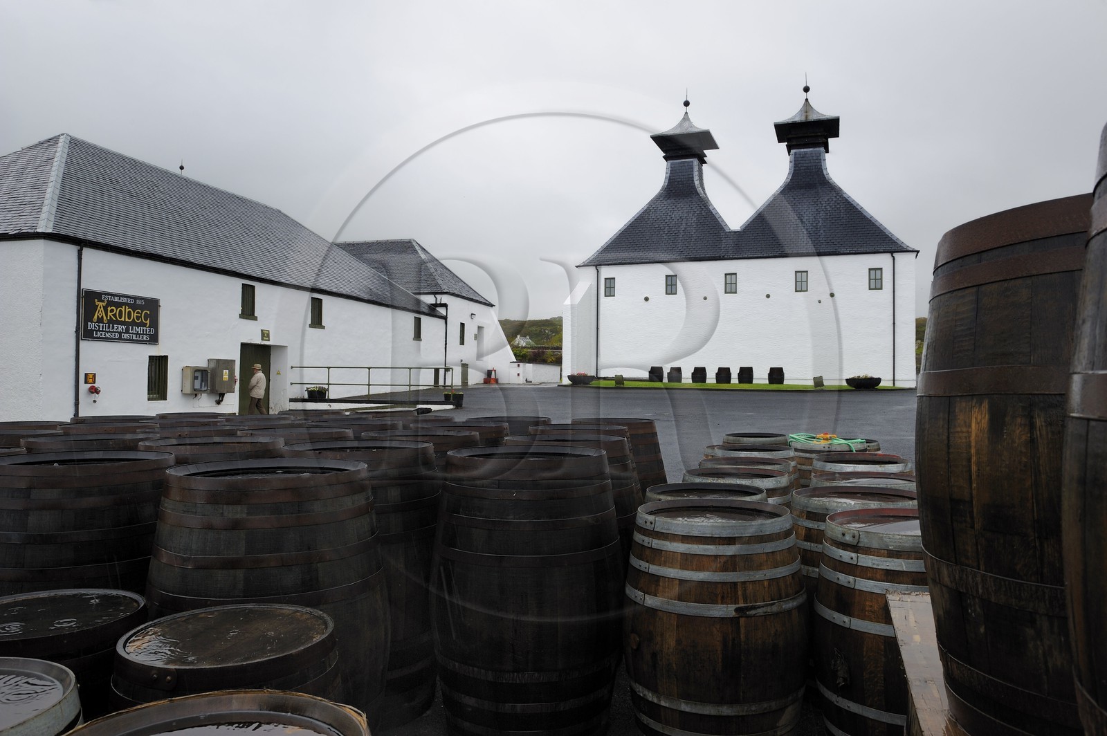 Royaume-Uni, Ecosse, Hébrides intérieures, Ile de Islay, Port Ellen, distillerie de whisky Ardbeg, stockage des tonneaux en extérieur