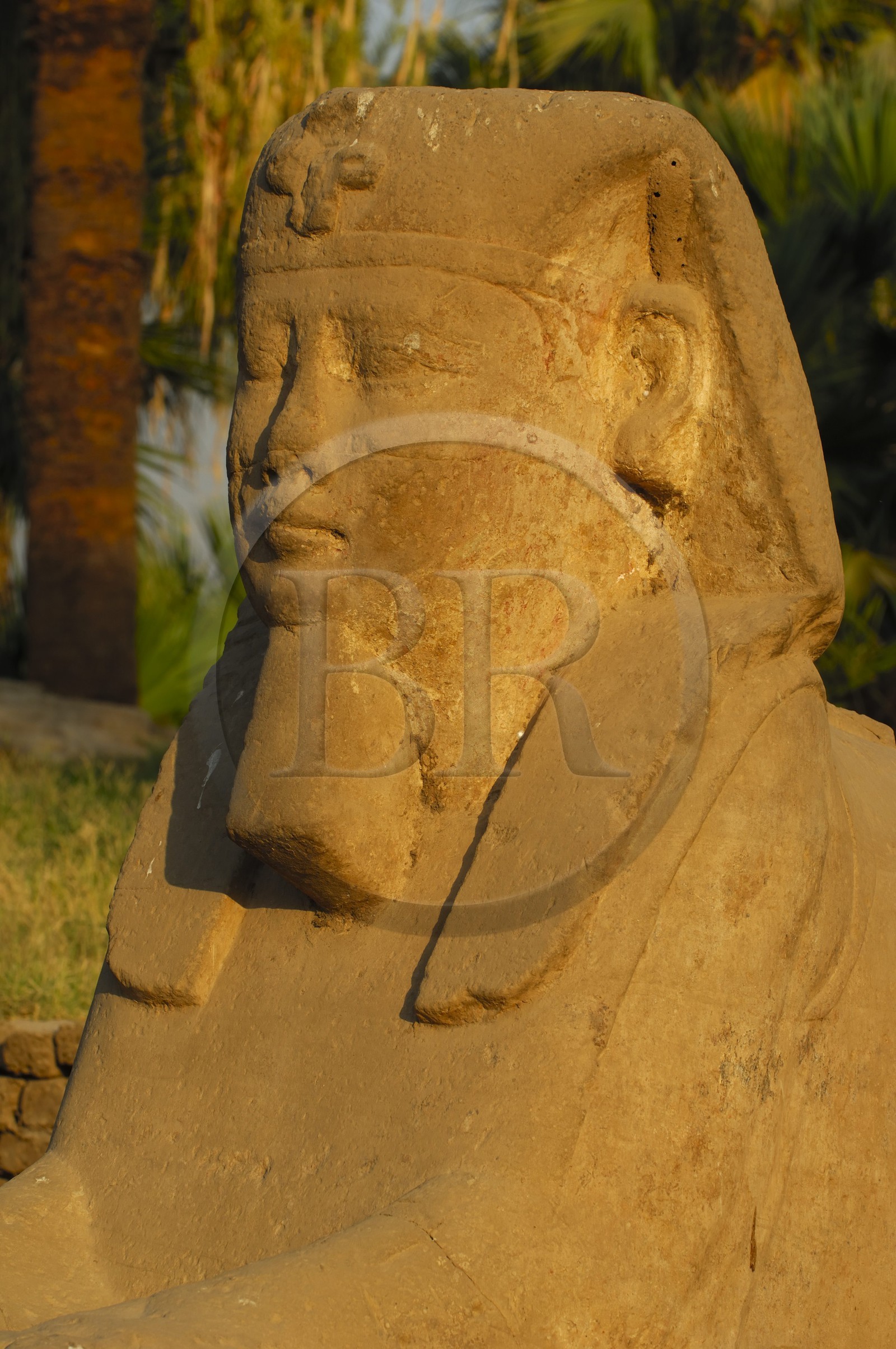 Egypte, Haute Egypte, vallée du Nil, temple de Louxor classé Patrimoine Mondial de l'UNESCO, le Dromos