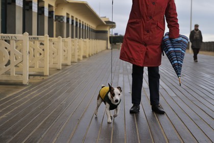 France, Calvados, Pays d'Auge, Deauville, the famous planks on the beach