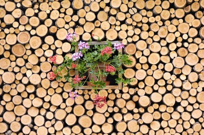 Switzerland, Canton of Bern, Bernese Oberland, Murren village, Wooden steres and flowers