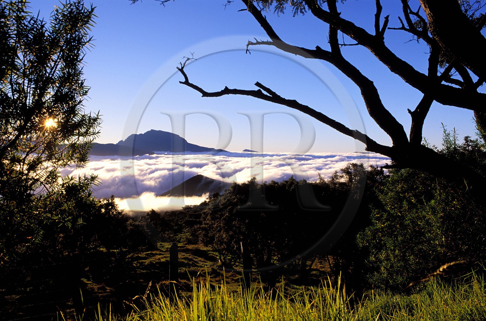 France, île de la Réunion, le Piton des Neiges, classé Patrimoine Mondial de l'UNESCO, dominant la plaine des Cafres