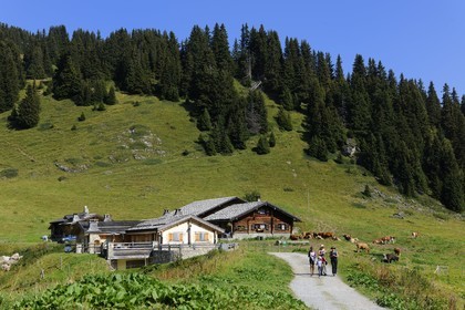 Switzerland, Canton of Vaud, Villars sur Ollon, hamlet of Bretaye
