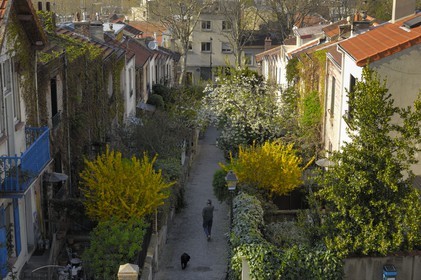 France, Paris (75), La campagne à Paris du quartier Mouzaïa, maisons avec jardins au cœur de la ville
