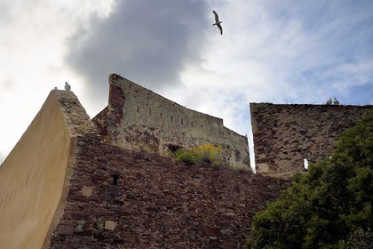 France, Var (83), Iles d'Hyères, parc national de Port Cros, Ile de Porquerolles, le Fort de l'Alycastre
