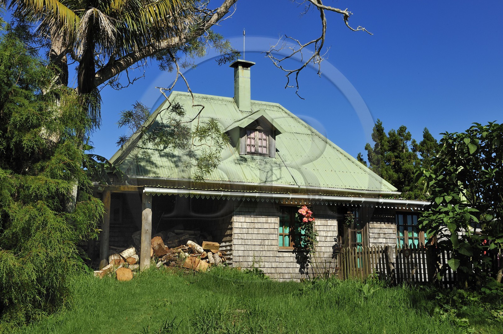 France, Reunion island (French overseas department), Belouve forest, Belouve lodging