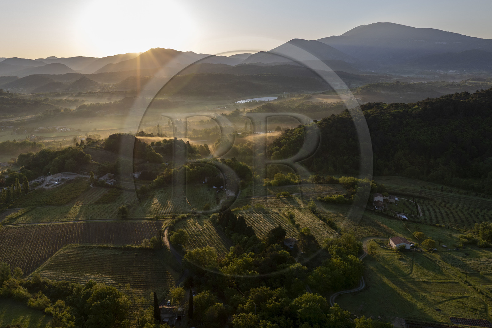 France, Vaucluse (84), Dentelles de Montmirail, Crestet, la plaine au nord de Malaucène au lever de soleil et le Mont Ventoux en arrière plan (vue aérienne)