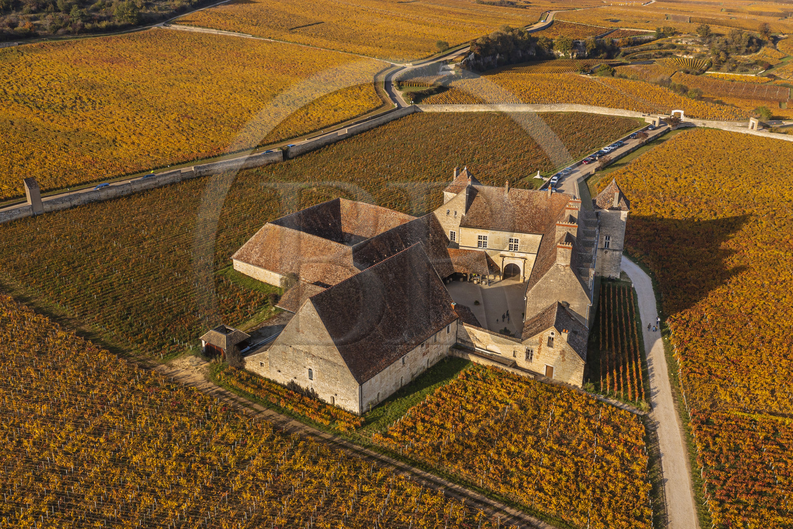 France, Côte-d'Or (21), Paysage culturel des climats de Bourgogne classés Patrimoine Mondial de l'UNESCO, Vougeot, Route des Grands Crus, le vignoble et le chateau du Clos de Vougeot (vue aérienne)