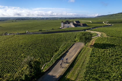 France, Côte-d'Or (21), Paysage culturel des climats de Bourgogne classés Patrimoine Mondial de l'UNESCO, Route des Grands Crus, vignoble de la Côte de Nuits, Vougeot, cyclistes sur une petite route menant au Chateau du Clos de Vougeot entouré par le vignoble (vue aérienne)