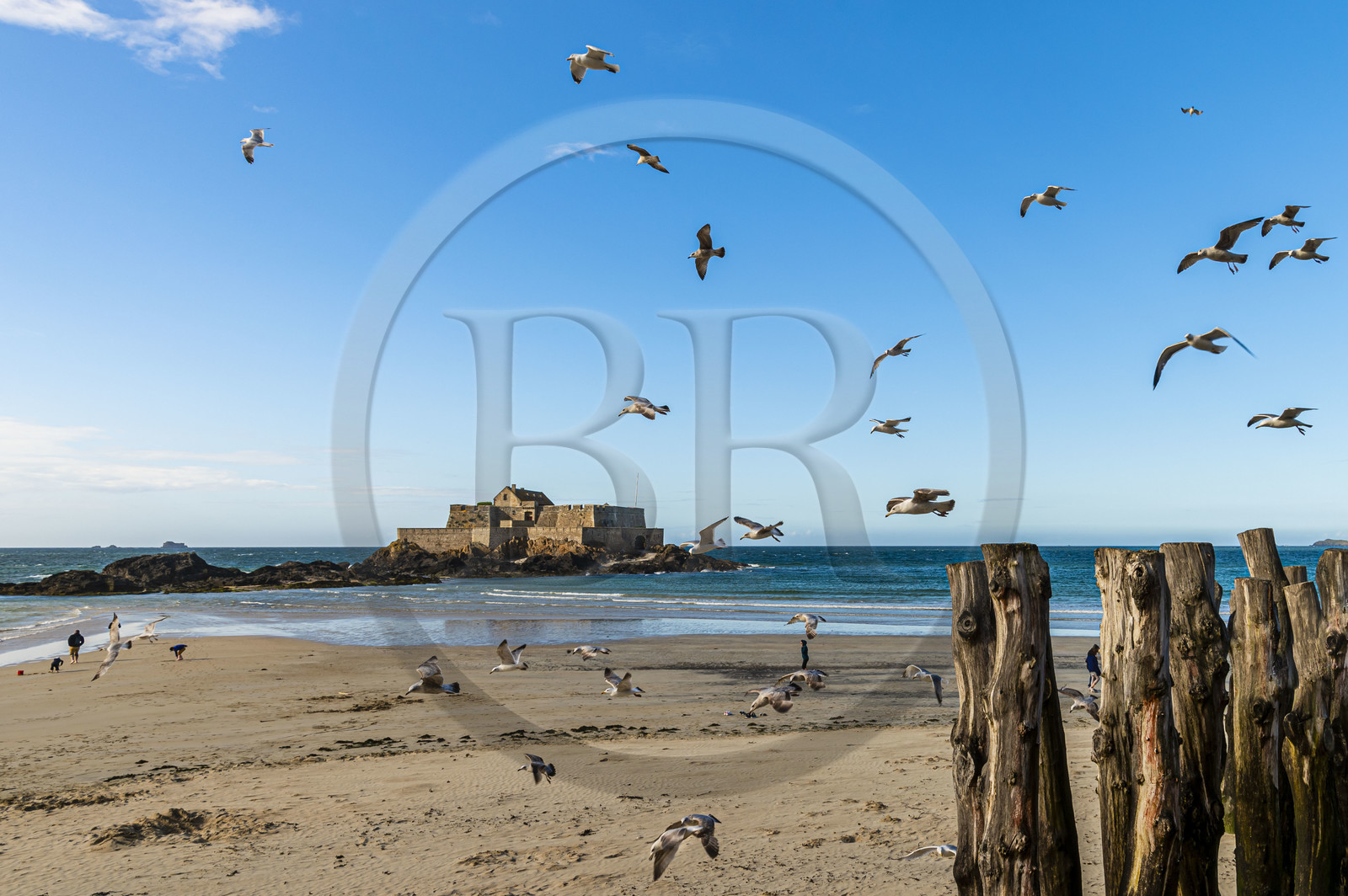 France, Ille-et-Vilaine (35), Côte d'Emeraude, Saint-Malo, Fort National conçu par Vauban et construit par Siméon Garangeau de 1689 à 1693, la plage de l'eventail à marée basse avec ses brise-lames en bois
