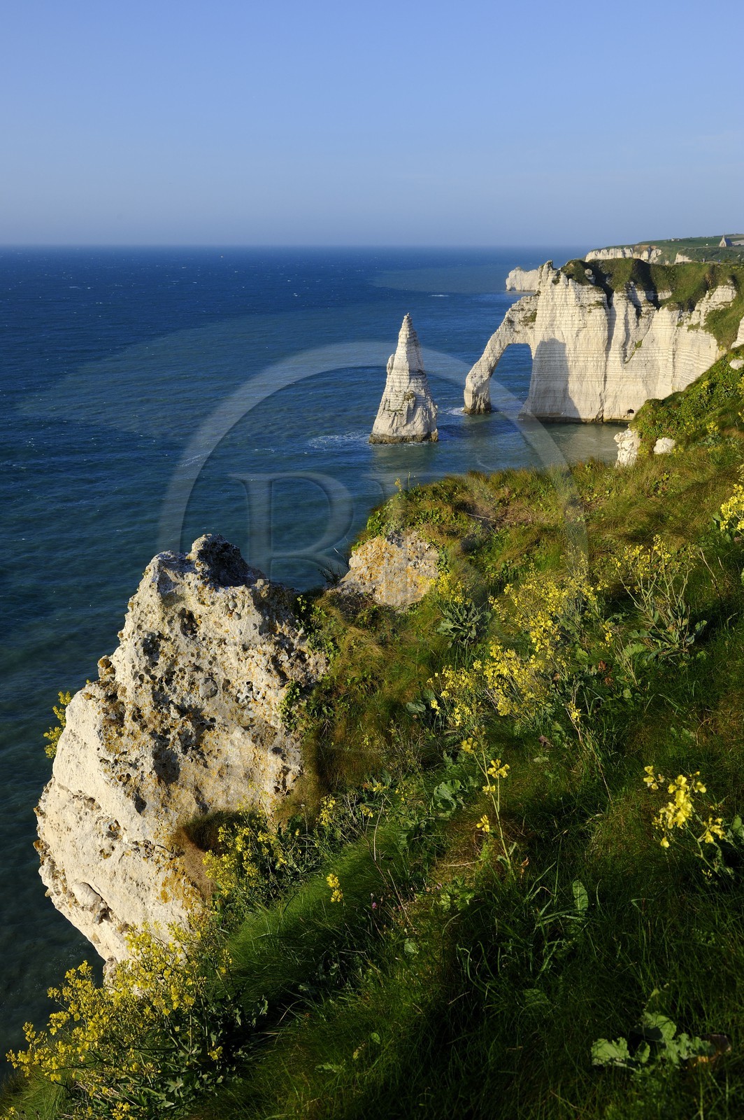 France, Seine-Maritime (76), Pays de Caux, Côte d'Albâtre, Etretat, la falaise d'Aval et l'Aiguille Creuse