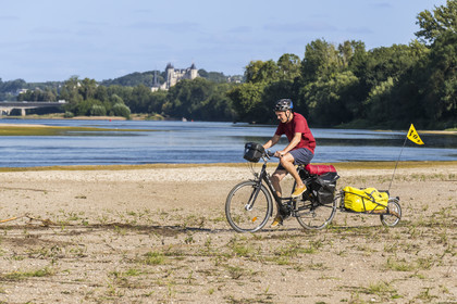France, Maine-et-Loire, Loire valley listed as World Heritage by UNESCO, Saumur towards Saint-Hilaire, sandbanks forming islands on the Loire and Saumur castle in the background, cycling on the banks of the Loire, bike with a trailer carrying camping equipment